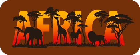1 win africa img